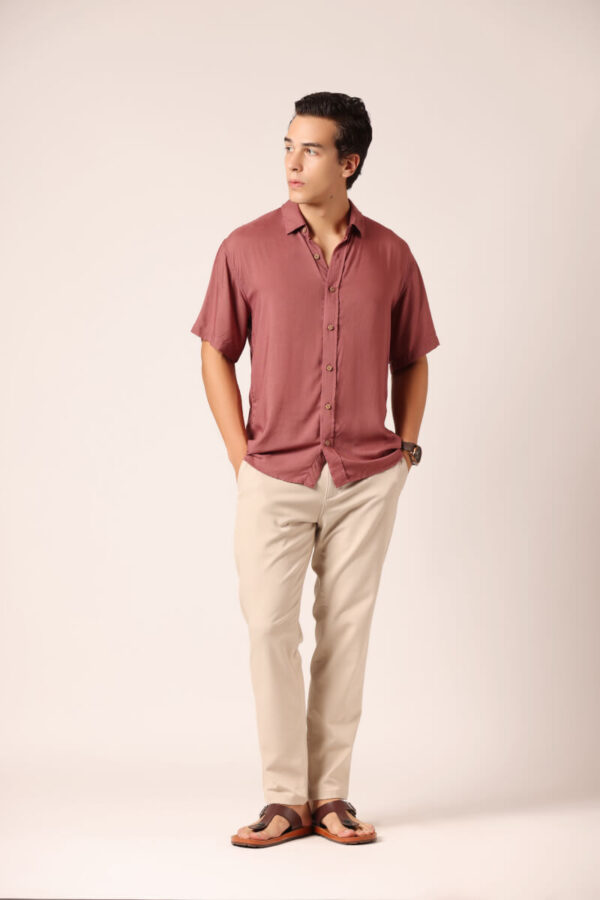 Hibiscus - Image 3